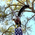 American Bald Eagle Statue Outdoor Garden Metal Yard Art Decor 17 Inch Sculpture