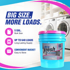 Ultra Fresh Platinum 5 Gal Spring Fresh Fabric Softener Up To 640 Loads W pump