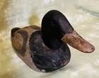 Wood Duck Decoy Vintage Glass Eye Worn Original Paint Black Head 14 l X 5 w
