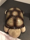 Cloud B Twilight Tranquil Turtle Star Night Light Sky Projector Toy Nightlight