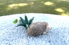 Four-toed Hedgehog By Schleich  Toy  14676  Retired new With Tag