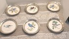 Vintage Set Of 6 Sheridan Silver Plated Bird Themed Coasters  