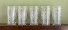 Set Of 5 Vintage 1964 Official Kentucky Derby Mint Julep Glasses     Frosted Churc