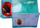 14 Mukhi Rudraksha Pendant  Lab Certified Brown Bead  Silver Setting  Nepali Spi