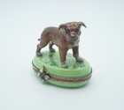 New French Limoges Trinket Box Pit Bull Terrier Dog Puppy On Green Floral Box