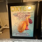 Oxygen Bar Enterprise Aroma Delivery System
