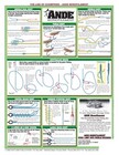 Fishing Knot Tying Guide  3 - Waterproof Reference To 18 Easy Fishing Knots