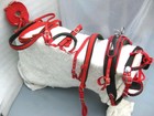 Driving Harness Naylon For Single Horse With Rad black Sizes Full cob pony mini