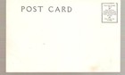 Postcard - Black Americana -   Dead Game Sports 