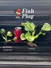 Rare Variegated Water Hyacinth Pond aquarium Plant  only Seller Usa  Large Size