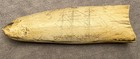 Scrimshaw Museum Reproduction-resin Whale Tooth-the Ship Mary In The Arctic