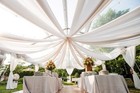 60 Feet 120  Wide Voile Chiffon Fabric Sheer Draping Drape Panel Wedding Sale 