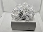 Lightscapes Of Bridal Elegance Set Of 35 Clear Flower Decorative Lights