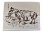 Original Signed Pen   Ink Horse Drawing Framed 11x14 Strathmore Cotton Paper