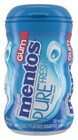 Mentos Pure Fresh Sugarfree Chewing Gum Xylitol Wintergreen 15 Per Bottle 10 Ct