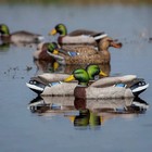 Avery  Outdoors Ghg Pro-grade Xd Series Mallards Feeder Pack 6 Duck Decoys
