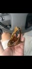 California Halibut Jaw Taxidermy Fish Art   Desk Piece    Epoxy Coated Man Cave 