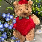 Bartholomew Bear Strawberry Soft Stuffed Toy Animal Birthday Gift For Kids Doll