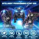 Remote Control Robot Dog Toys For Boys  Rechargeable Programmable Stunt Robot   