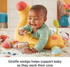 Fisher-price Go Wild Gym   Giraffe Wedge  Infant Activity Gym W playmat Musical