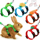 4 Set Adjustable Bunny Rabbit Harness And Leash Set Small Pet Vest Harness Leash
