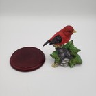 Vintage America   s Favorite Songbirds Scarlet Tanager Hand Painted