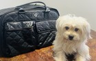 Petique The Lux Pet Carrier - Luxury Vegan Leather Travel Bag - Nib Black