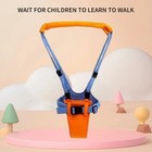 Baby Walking Harness Learning Assistant Safety Strap  Toddler Walker Belt