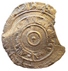 Fatimid Al-mu   izz 953-975 Ad Silver 1 2 Dirham Ancient Islamic Coin 0 8gr 19mm