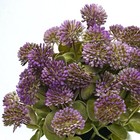 Everlnestio 11in Mauve Artificial Flower Balls In White Ceramic Vase 11 