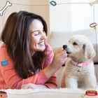 19 Pack Colorful Identification Dog Collar With Bells For Newborn Pets Puppy