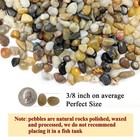 10 Lbs Aquarium Pea Gravel 3 8  Polished Pebbles For Fish Tanks   Gardens