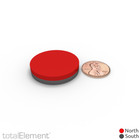 1 25 X 1 4 Inch Heavy-duty Neodymium Rare Earth Large Disc Magnets N52  2 Pack 