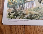 Rare Dominican Republic Easter And New Year Card From Rafael Trujillo