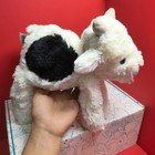 Jellycat Smudge Cow Children s Plush Toy  plush Toy