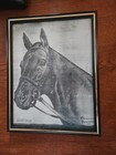 Vintage 1953 Dark Star Kentucky Derby Winner Horse Print Allen F Brewer Jr   