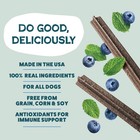 Shameless Pets Blueberry   Mint Dental Chews For Dogs 32 - Natural Dog Teeth