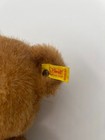 Steiff Vintage Dorma Bear  13  Original Ear Tag Button In Ear 0217 34