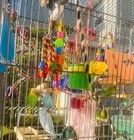 Parrot Bird Toy Set 5 Pack Chewing Shredding Rope Perch Cage Accessories New Usa
