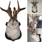 Jackalope Mount  Jackalope Taxidermy  Animal Head Wall Decor  Deer Head Wall Mou