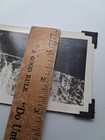 1930s Sequoia National Park Ca Auto Tree Log Car Snapshot Photo Redwoods Vtg