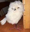 Lot Of 7 Owls Penguin Snowy Great Horned Saw Whet Screech Euc