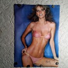 Original 1978 Cheryl Tiegs Pink Bikini Poster 20  X 28  Pro Arts 14-591 Ms Tiegs
