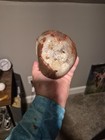 Beautiful Carved Crazy Lace Agate Skull With Druzy