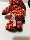 Beauty Grateful Dead Bean Bear Cubs Rose Red Plush Liquid Blue 2000 Vintage
