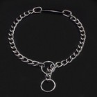 Wholesale 12pcs A Set Dog Choke Chain Training Collar Pet Id Name Tag