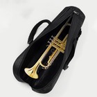 Trumpet Carrying Case Trumpet Gig Bag Professional Portable Lightweight