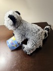 Webkinz Raccoon Nwt Unused Sealed Code Plush Stuffed Animal
