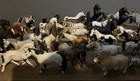 Schleich Horse Lot