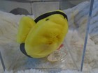 Ty Beanie Baby Bubbles The Fish 3rd 1st Gen Korean Authenticated Mwmt Mq